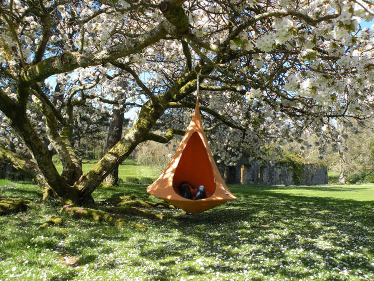 Cacoon hangtent