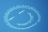 Blue monday: 10 ‘blauwe om van te houwe’