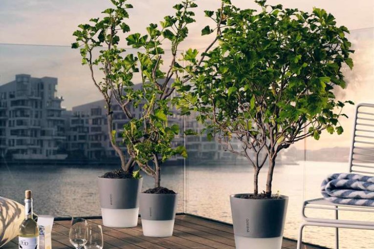 Flowerpot plantenbak met ingebouwd waterreservoir
