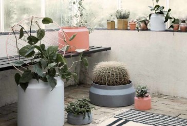 Groter groen met deze Plant Walls: da’s Ferm!