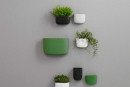 Hang je kamerplanten eens aan de muur