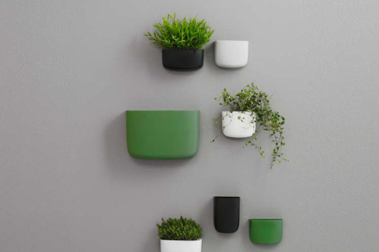 Hang je kamerplanten eens aan de muur