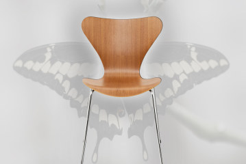 De Vlinder van Jacobsen sloeg precies 60 jaar geleden z’n vleugels uit