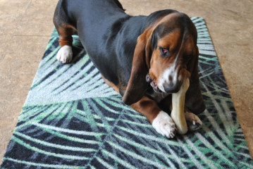 Mad About Mats brengt je liefde en beestige nieuwe ontwerpen